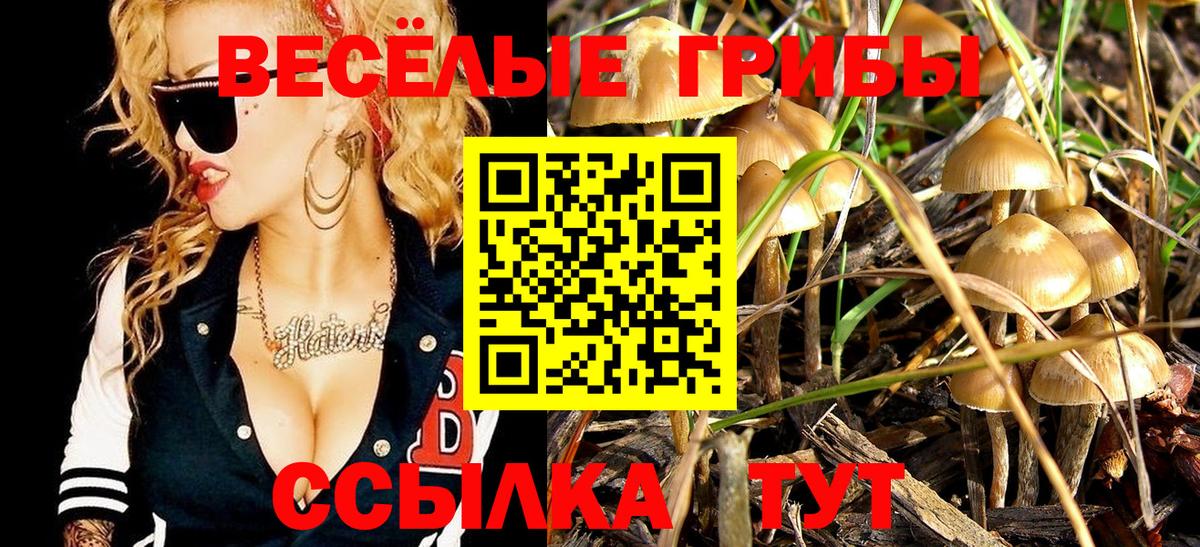 Псилоцибиновые грибы прущие грибы Кувандык