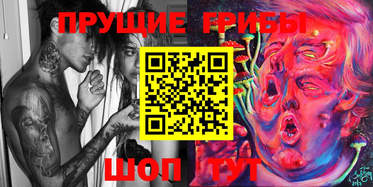 Кувандык  Псилоцибиновые грибы Cubensis  Вход с VPN  Псилоцибиновые грибы Psilocybine cubensis 